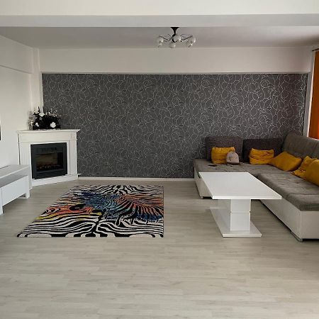 Panoramic M&M Apartment スチャヴァ エクステリア 写真