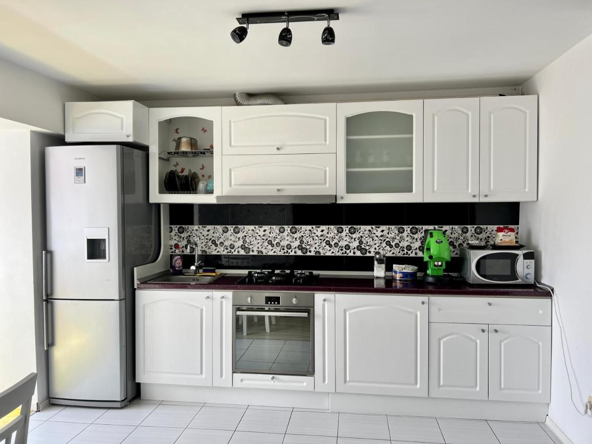 Panoramic M&M Apartment スチャヴァ エクステリア 写真