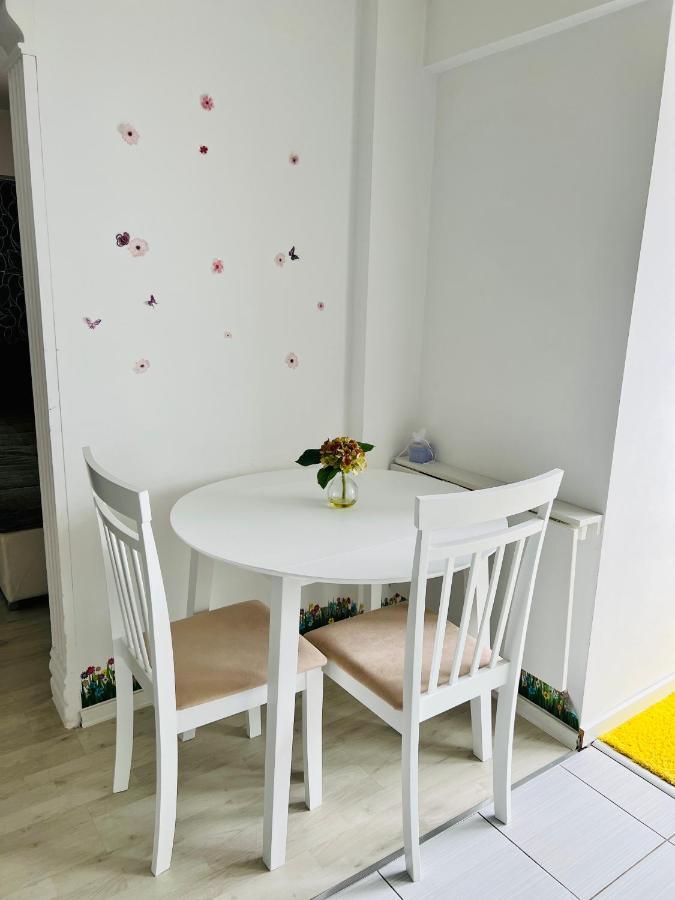Panoramic M&M Apartment スチャヴァ エクステリア 写真